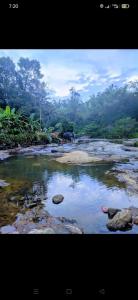 Alhind Residency , Valara, Munnar