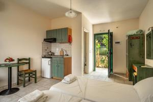 Anemona studio G