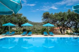 Anemona studio G