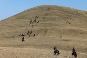 East Learmouth Lakeside Lodges