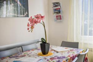 Casa Vacanza Elena