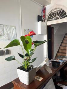 Amoreiras Lisbon Apartments
