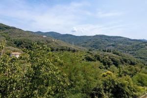 Casa Luciana Castelnuovo