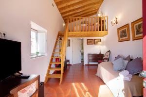 Villa Oliva Al iii