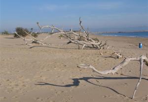 Cozy bright apartment