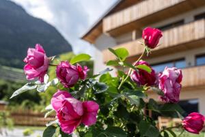 Oberfallerhof Apartment Inni