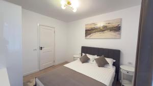 Central Apartment Perla