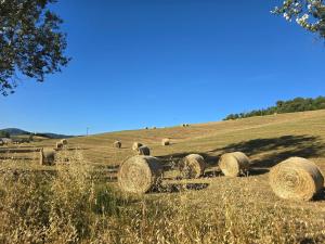 Villette di Contignano