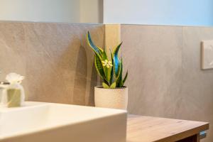 Mittnackerhof Apartment Ringelblume