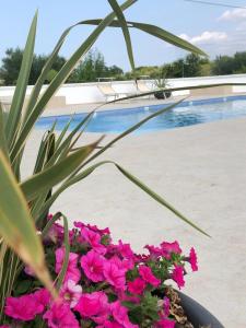 Villa Bianca N F