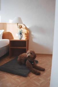 Hotel Zum Wikinger - Haustiere