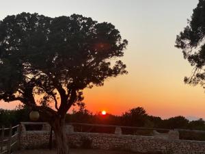 Es Pujols - Finca Can Mussenya