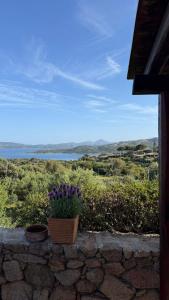 Bear Heaven Sunrise img8