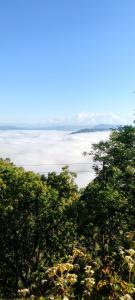 Himalayan pahadi palace