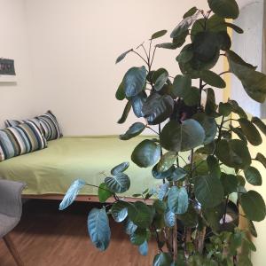 Privatzimmer an der A1, Zürich Bern, Ausfahrt Wangen an der Aare
