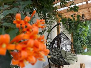 Golden hour tiny house