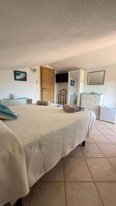 Bear Heaven Sunrise img39