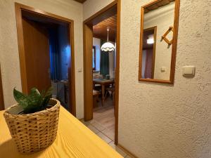 Ferienwohnung Bauer