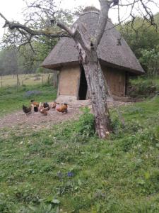 Maisons de vacances L'Etable d'Emile : photos des chambres