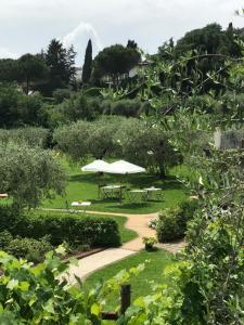 Agriturismo Il Cardo