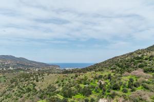 Olive Guesthouse near farm