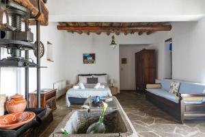 Olive Guesthouse near farm