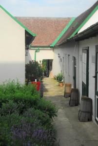 Bioweingut Hauerhof 99 -apartment 2