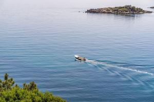 Apartment Dorsia With Sea View