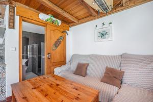 Agro Surf House