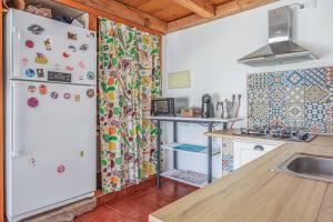 Agro Surf House