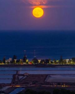 Al Chiaro di Luna img24
