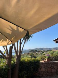 Bear Heaven Sunrise img48