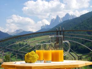 Bergblick App Lärche