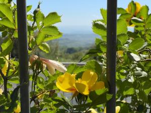 Casa Le Campane sulla Via Francigena