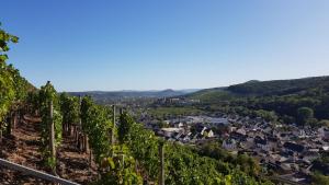 Ferienwohnung Schatzkammer