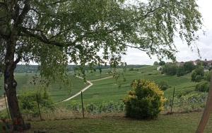 Aux souvenirs dAntan