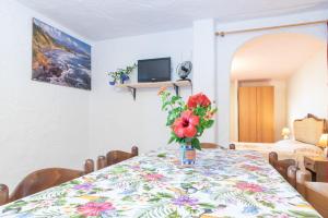 Runcina 1 img11