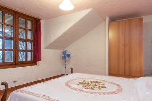 Runcina 1 img5