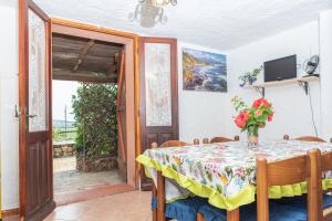 Runcina 1 img9