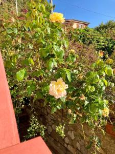 Appartamento Belvedere