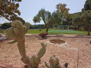 Villa Matian img41