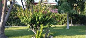 Oleandri Beach Resort