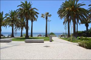 Beachfront T1