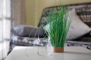 Dúplex en Costa Calma-fuerteventura