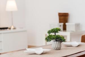 Apartamento Cañada Honda Conil