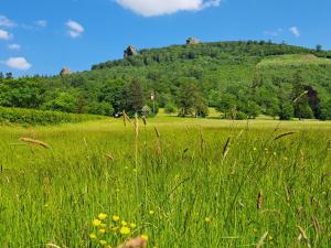 Ferienwohnung Sauerland Feeling