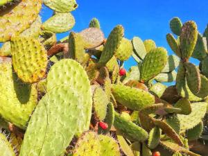 Fortezza Villa Azzurra