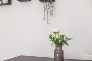 Sleeptubal Moderne Accommodatie