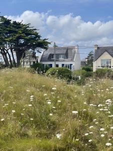 Lividig Bleue en face de la mer