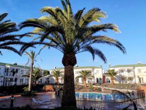 Piccola Oasi Corralejo